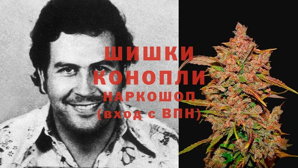 прущая мука Богородск