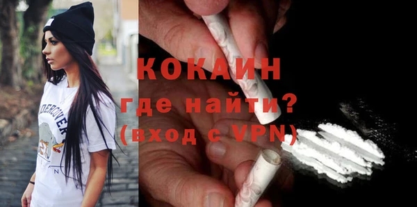 дмт Богданович