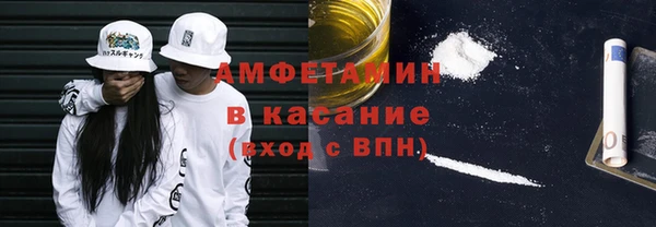 дмт Богданович