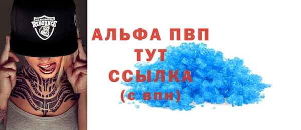 дмт Богданович