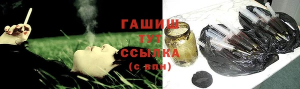 дмт Богданович