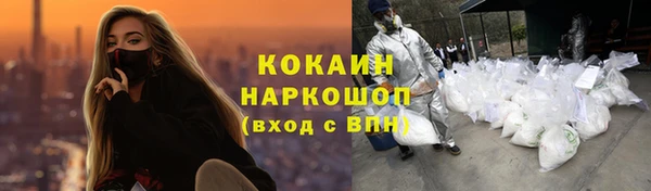 дмт Богданович