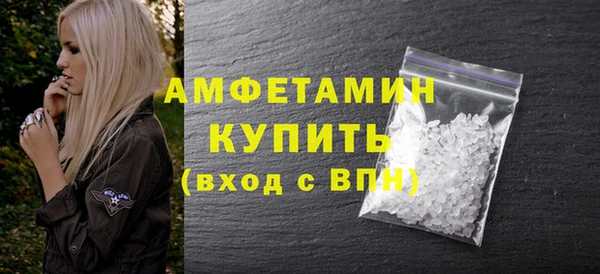 дмт Богданович