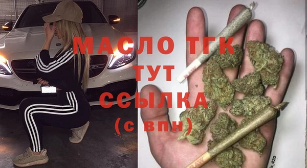 дмт Богданович