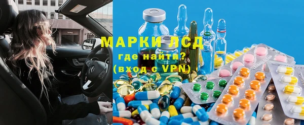 дмт Богданович