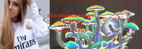 дмт Богданович