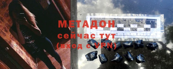 дмт Богданович